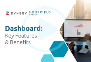 Sustainability Manager